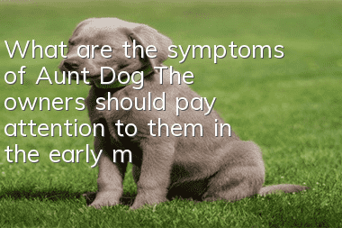 What are the symptoms of Aunt Dog? The owners should pay attention to them in the early, middle and late stages!