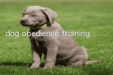 dog obedience training