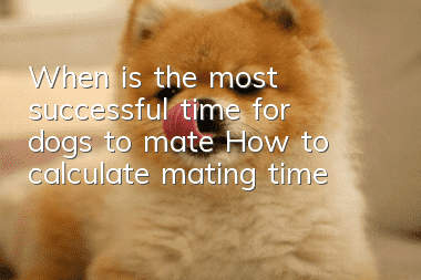 When is the most successful time for dogs to mate? How to calculate mating time?