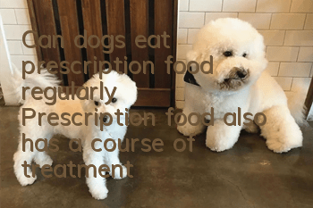 Can dogs eat prescription food regularly? Prescription food also has a course of treatment!