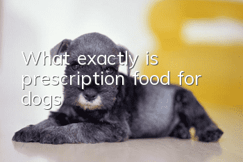 What exactly is prescription food for dogs?