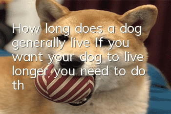 How long does a dog generally live? If you want your dog to live longer, you need to do these things!