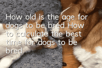 How old is the age for dogs to be bred? How to calculate the best time for dogs to be bred?