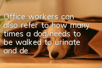Office workers can also refer to how many times a dog needs to be walked to urinate and defecate in a day!