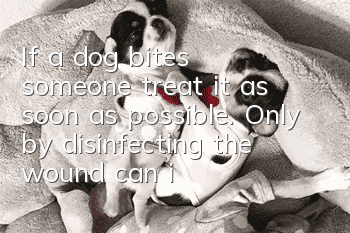 If a dog bites someone, treat it as soon as possible. Only by disinfecting the wound can it be effectively prevented.