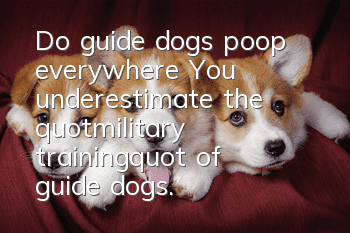 Do guide dogs poop everywhere? You underestimate the "military training" of guide dogs.