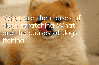 What are the causes of dogs scratching? What are the causes of dogs itching?
