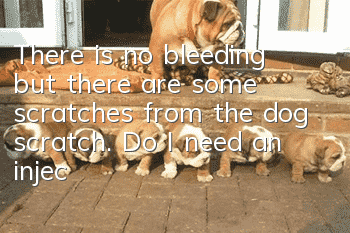There is no bleeding but there are some scratches from the dog scratch. Do I need an injection?