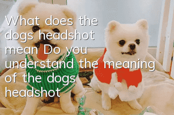 What does the dog's headshot mean? Do you understand the meaning of the dog's headshot?