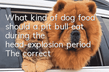 What kind of dog food should a pit bull eat during the head-explosion period? The correct choice of dog food is the key