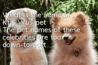 What is the name of Kris Wu's pet? The pet names of these celebrities are too down-to-earth, right?