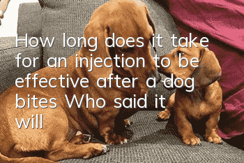 How long does it take for an injection to be effective after a dog bites? Who said it will be ineffective after 24 hours?