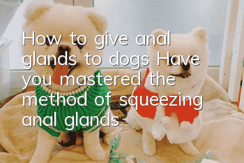 How to give anal glands to dogs? Have you mastered the method of squeezing anal glands?