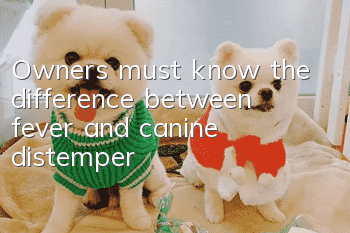 Owners must know the difference between fever and canine distemper!