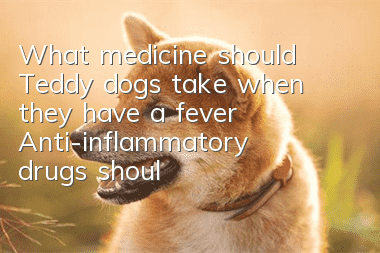 What medicine should Teddy dogs take when they have a fever? Anti-inflammatory drugs should not be given randomly.