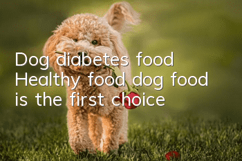 Dog diabetes food Healthy food, dog food is the first choice!
