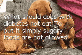 What should dogs with diabetes not eat? To put it simply, sugary foods are not allowed!