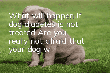 What will happen if dog diabetes is not treated? Are you really not afraid that your dog will die?
