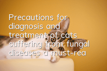 Precautions for diagnosis and treatment of cats suffering from fungal diseases, a must-read for novices!