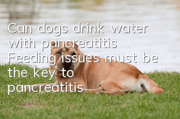 Can dogs drink water with pancreatitis? Feeding issues must be the key to pancreatitis