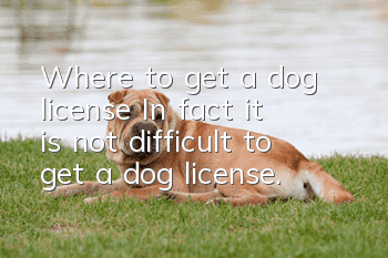 Where to get a dog license? In fact, it is not difficult to get a dog license.
