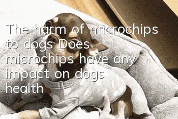 The harm of microchips to dogs Does microchips have any impact on dogs’ health?