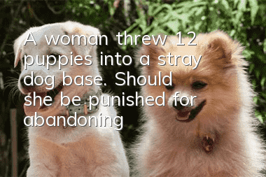 A woman threw 12 puppies into a stray dog base. Should she be punished for abandoning the pets?