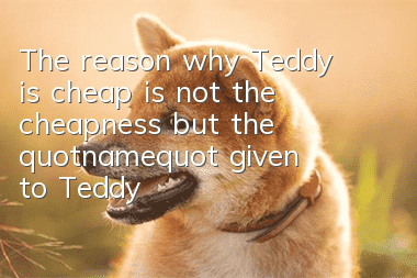 The reason why Teddy is cheap is not the cheapness, but the "name" given to Teddy