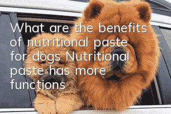 What are the benefits of nutritional paste for dogs? Nutritional paste has more functions than you can imagine.