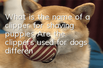 What is the name of a clipper for shaving puppies? Are the clippers used for dogs different from those used by humans?
