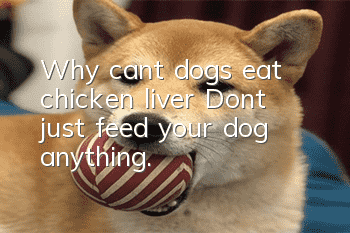 Why can’t dogs eat chicken liver? Don’t just feed your dog anything.