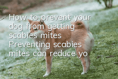 How to prevent your dog from getting scabies mites? Preventing scabies mites can reduce your dog’s physical problems