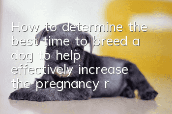 How to determine the best time to breed a dog to help effectively increase the pregnancy rate!