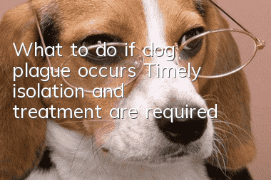 What to do if dog plague occurs? Timely isolation and treatment are required