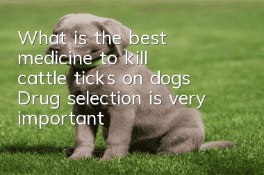 What is the best medicine to kill cattle ticks on dogs? Drug selection is very important