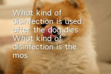 What kind of disinfection is used after the dog dies? What kind of disinfection is the most thorough?