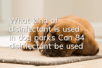 What kind of disinfectant is used in dog parks? Can 84 disinfectant be used?