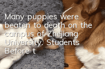 Many puppies were beaten to death on the campus of Zhejiang University. Students: Before they had time to feed them...