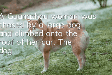 A Guangzhou woman was chased by a large dog and climbed onto the roof of her car. The dog’s owner said it’s your fault for wearing red clothes.