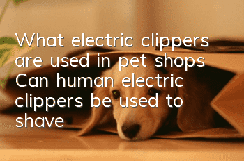 What electric clippers are used in pet shops? Can human electric clippers be used to shave dogs?