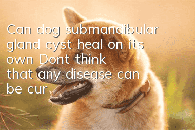 Can dog submandibular gland cyst heal on its own? Don’t think that any disease can be cured on its own!