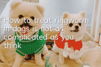 How to treat ringworm in dogs is not as complicated as you think!