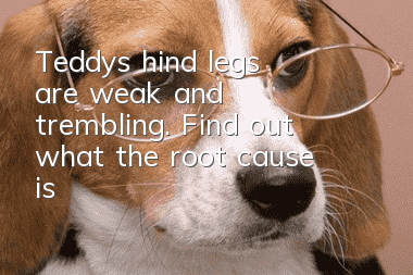 Teddy's hind legs are weak and trembling. Find out what the root cause is!