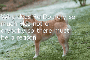 Why does Fa Dou cry so much? He’s not a crybaby, so there must be a reason!