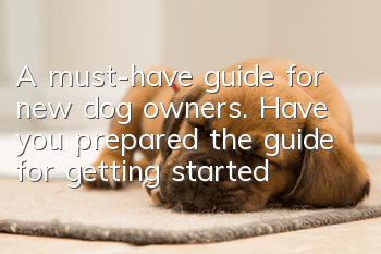 A must-have guide for new dog owners. Have you prepared the guide for getting started?