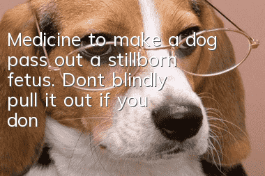 Medicine to make a dog pass out a stillborn fetus. Don’t blindly pull it out if you don’t want to kill it!