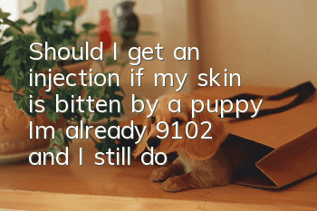 Should I get an injection if my skin is bitten by a puppy? I'm already 9102 and I still don't have a correct understanding of rabies?