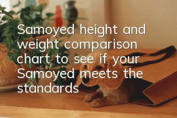 Samoyed height and weight comparison chart to see if your Samoyed meets the standards