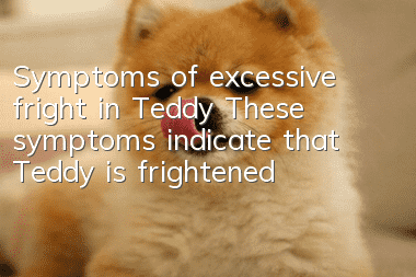 Symptoms of excessive fright in Teddy These symptoms indicate that Teddy is frightened!