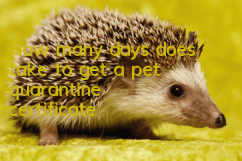 How many days does it take to get a pet quarantine certificate?